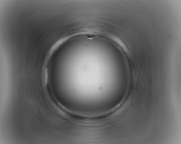 X0000114141371200910081256