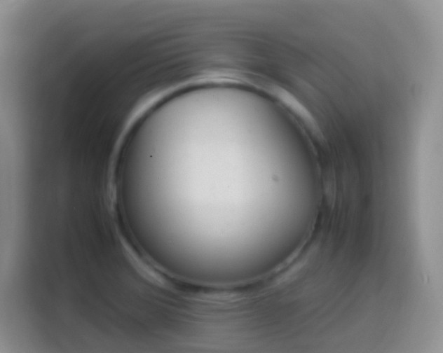 X0000114141372200910081256