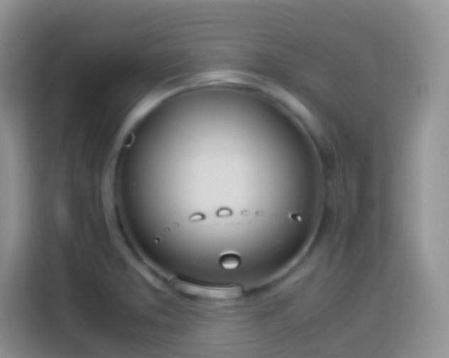 X0000114141373200910081256