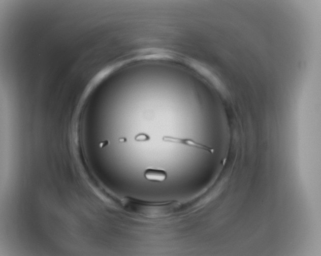 X0000114141375200910081256