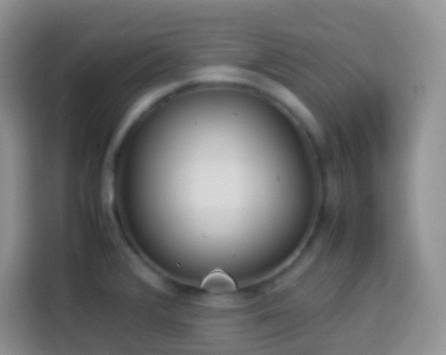 X0000114141376200910081256