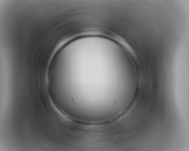 X0000114141380200910081256