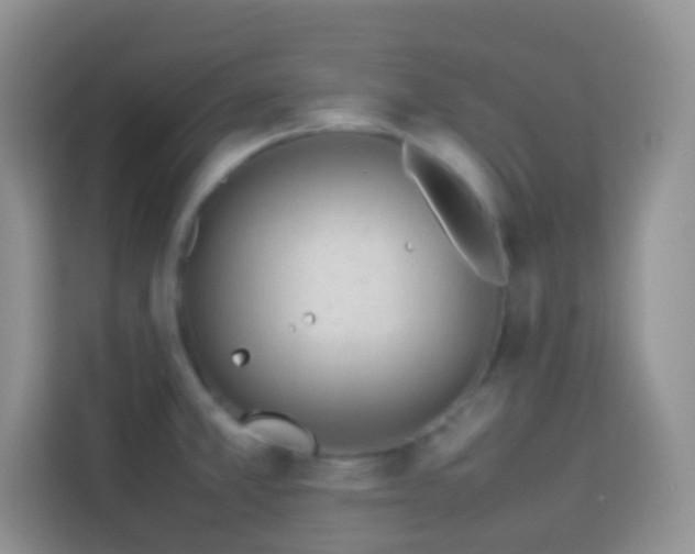 X0000114141381200910081256