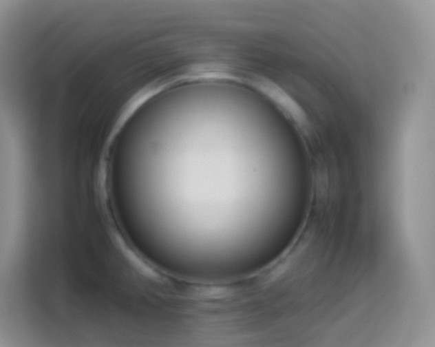 X0000114141382200910081256