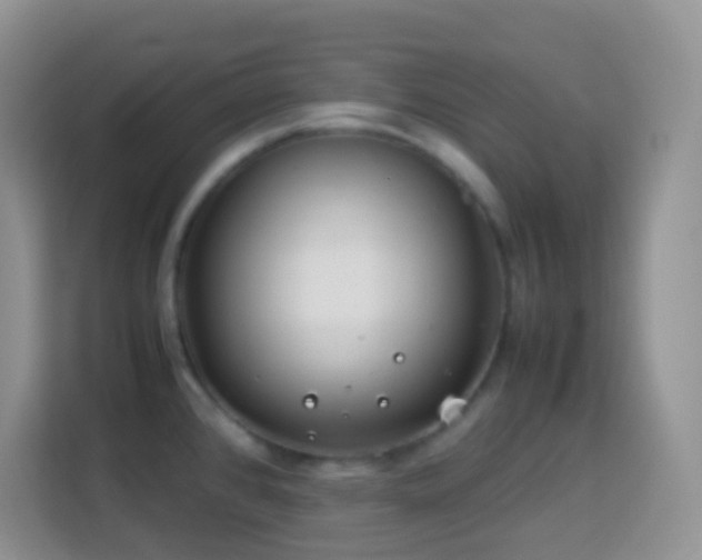 X0000114141384200910081256