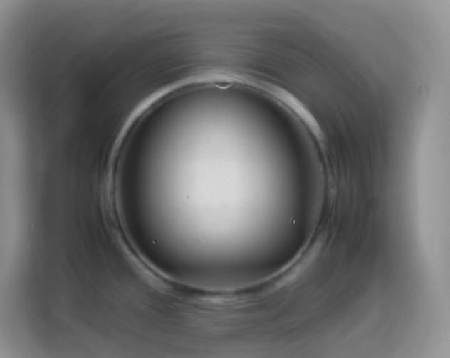 X0000114141388200910081256