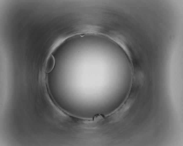 X0000114141389200910081256