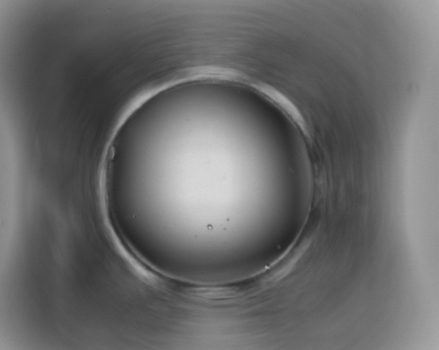 X0000114141391200910081256