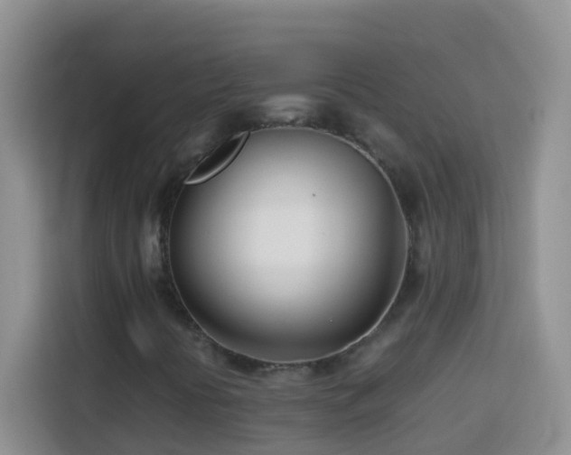 X0000114141394200910081255