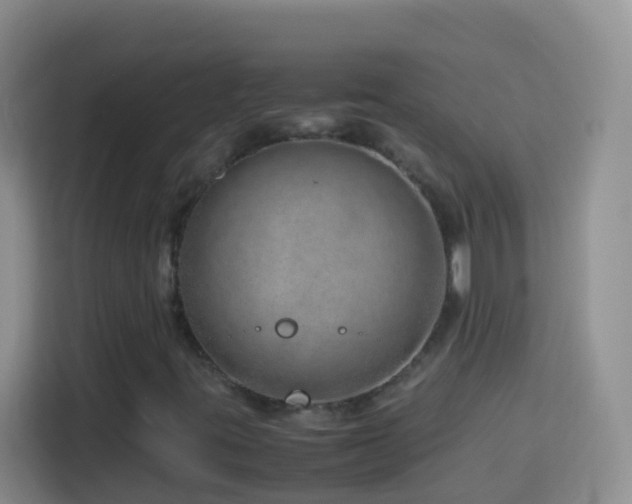 X0000114141395200910081255