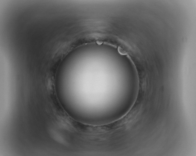 X0000114141397200910081255