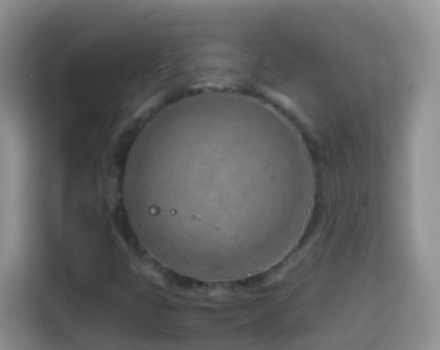 X0000114141399200910081255