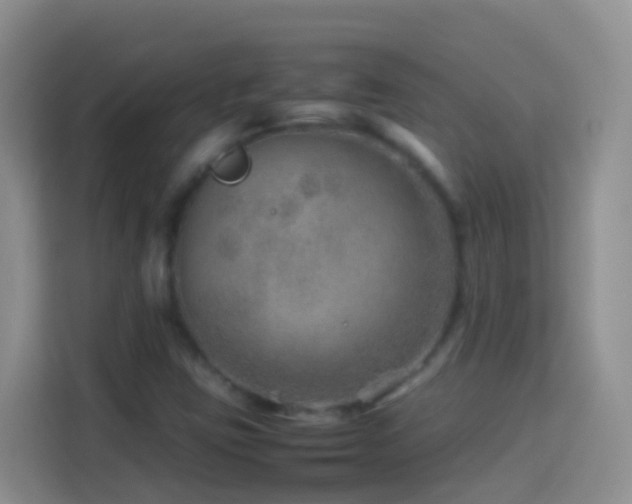 X0000114141403200910081255