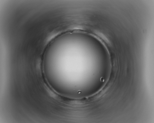 X0000114141404200910081255