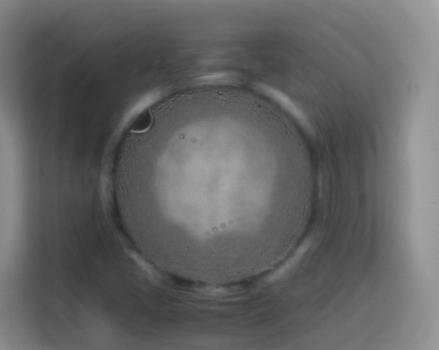 X0000114141405200910081255