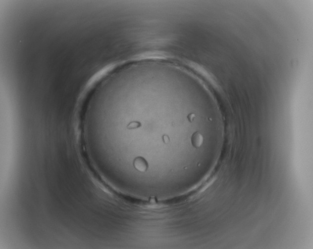 X0000114141406200910081255