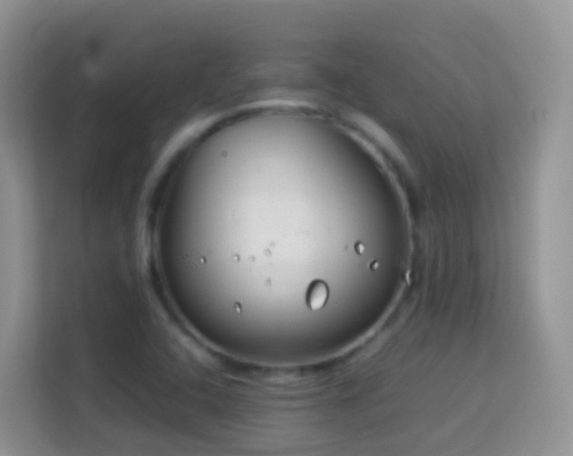 X0000114141408200910081255