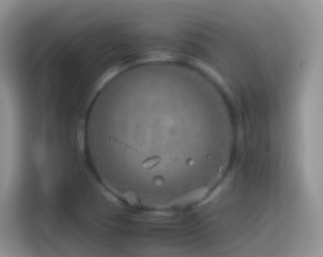 X0000114141409200910081255