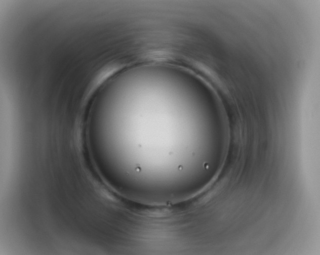 X0000114141410200910081255