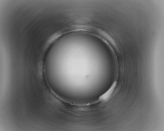 X0000114141411200910081255