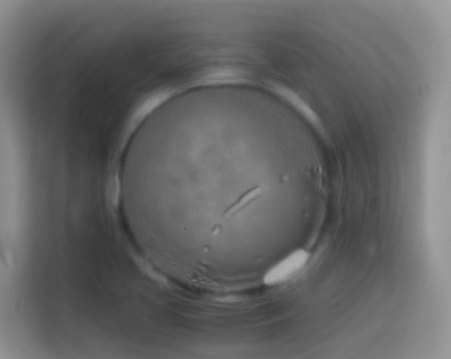 X0000114141413200910081255