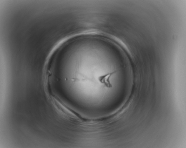 X0000114141414200910081255