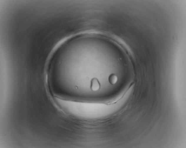 X0000114141416200910081255