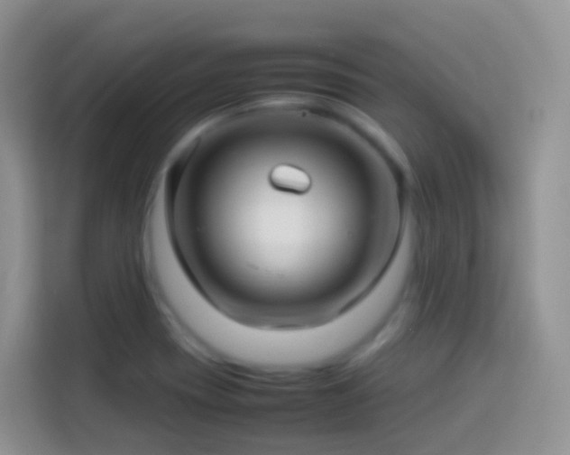 X0000114141417200910081255