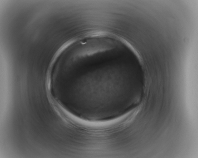 X0000114141418200910081255