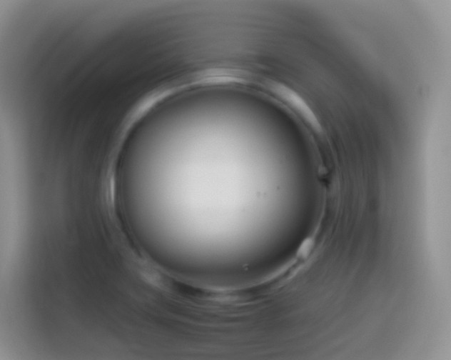 X0000114141419200910081256