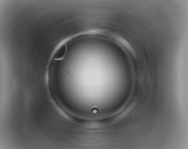 X0000114141420200910081256