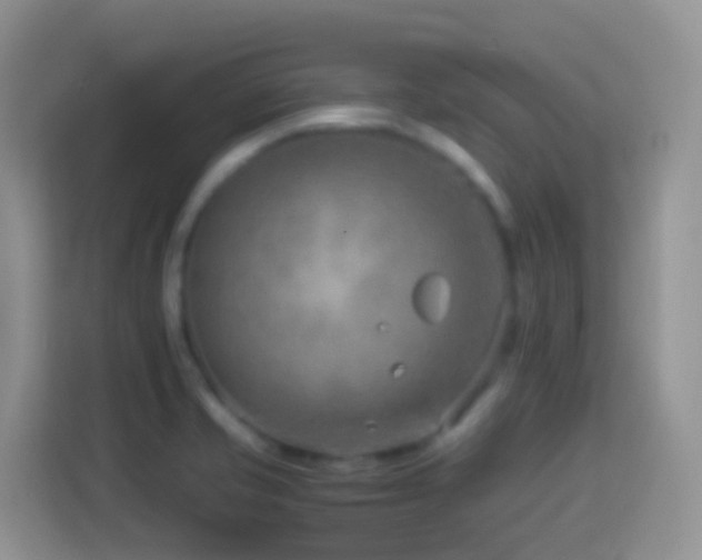 X0000114141421200910081256