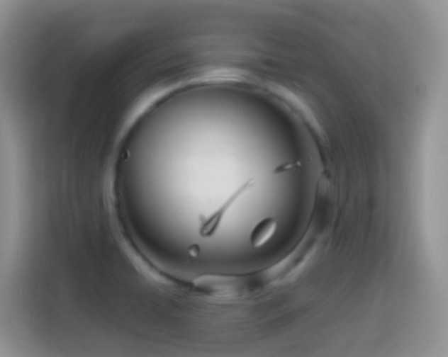 X0000114141422200910081256