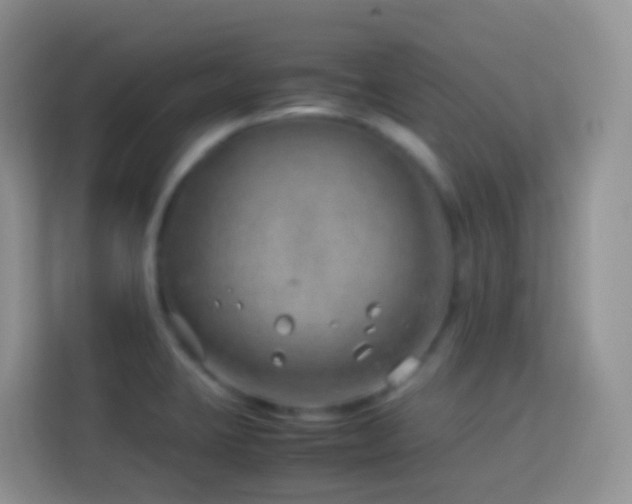 X0000114141423200910081256