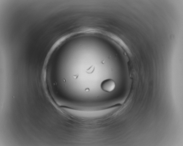 X0000114141424200910081256