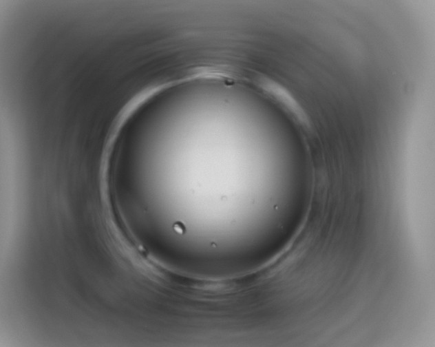 X0000114141427200910081256