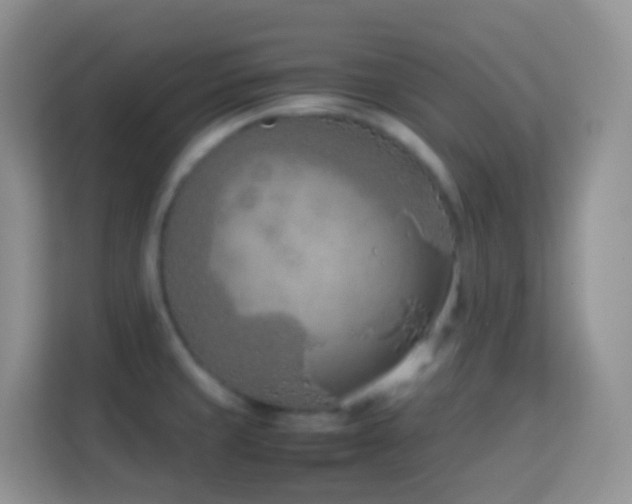 X0000114141429200910081256