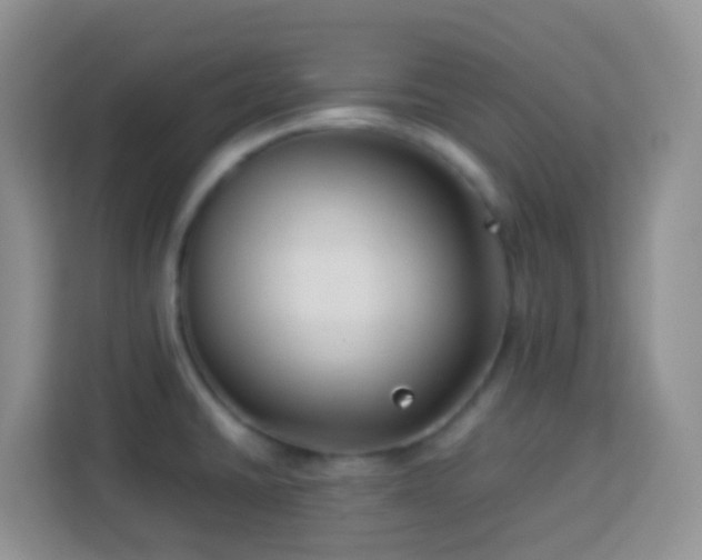 X0000114141430200910081256