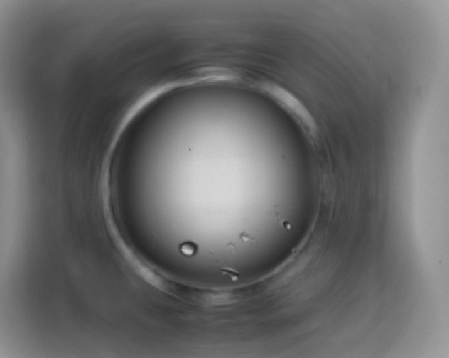 X0000114141431200910081256