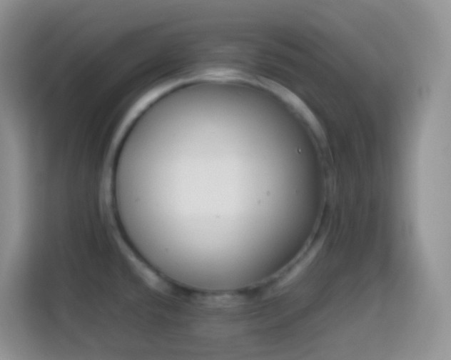 X0000114141432200910081256