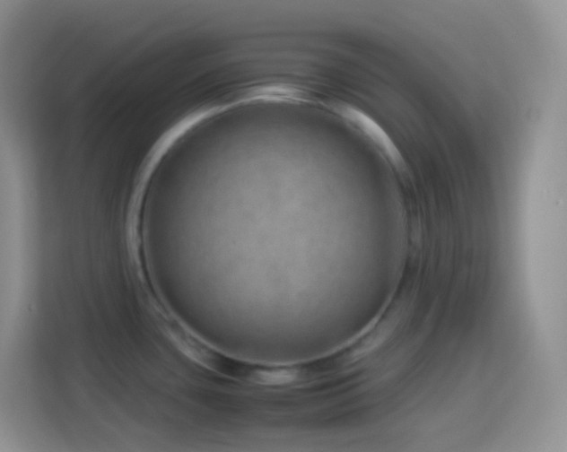 X0000114141435200910081256