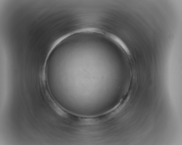 X0000114141436200910081256