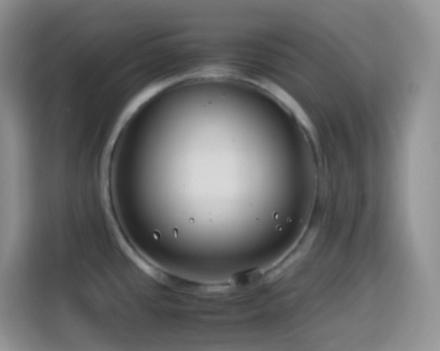 X0000114141437200910081256