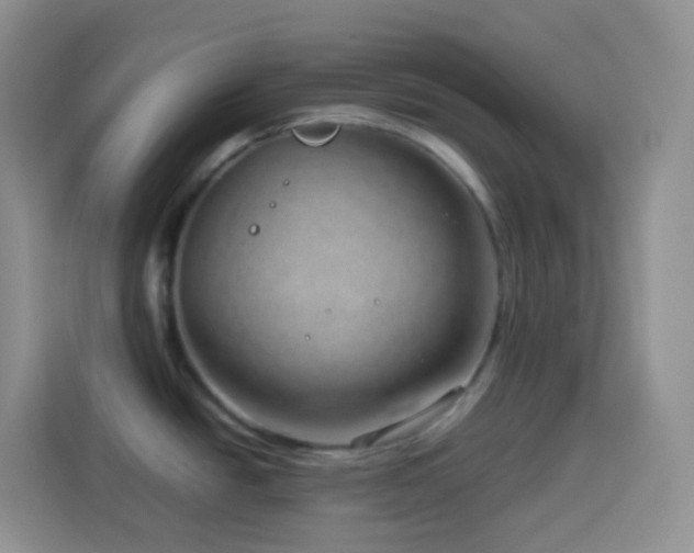 X0000114141438200910081256