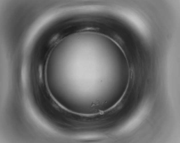 X0000114141439200910081256