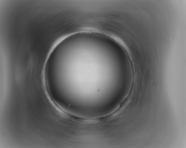 X0000114141440200910081256