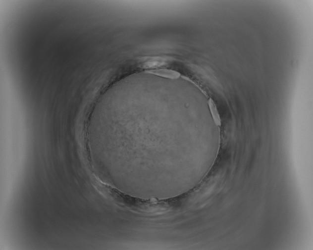 X0000114141441200910081255