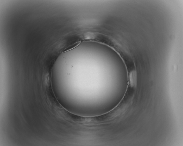 X0000114141443200910081255