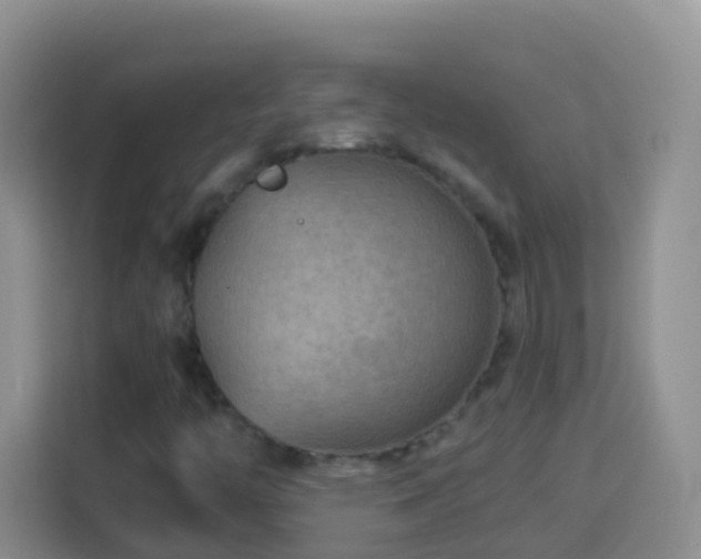 X0000114141446200910081255