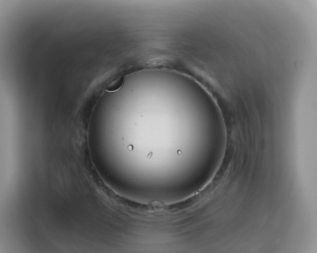 X0000114141447200910081255